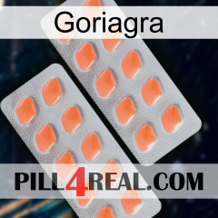 Goriagra 27